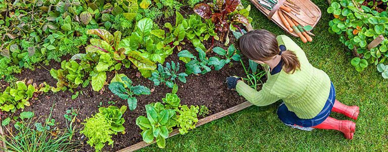 ilaçlama makinaları yedek parçaları