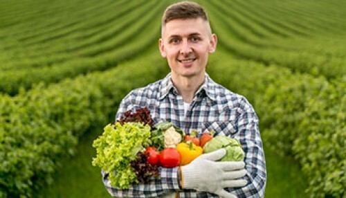 Ağaç İlaçlama Makinası